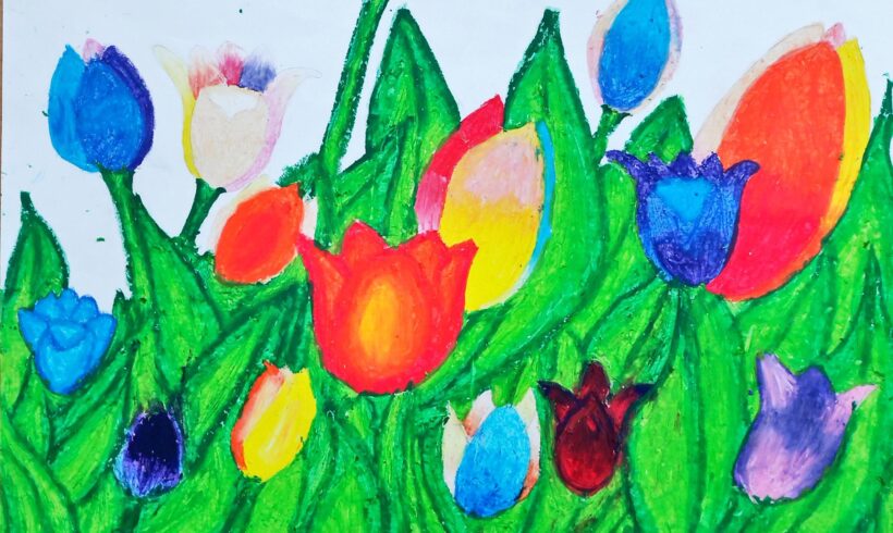 1h kreiert Tulpenwiesen