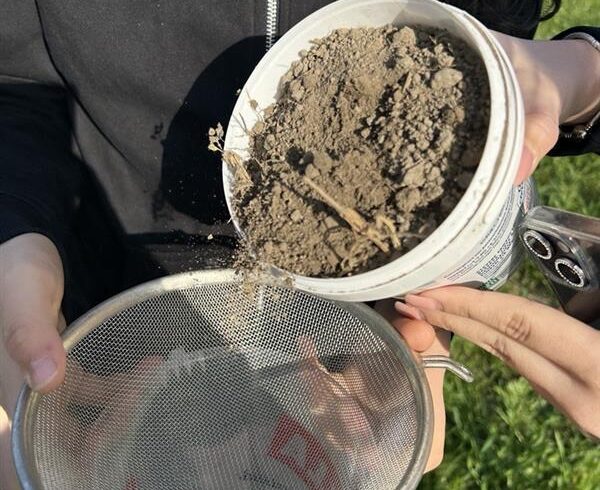 4B untersucht Mikroplastik im Boden 